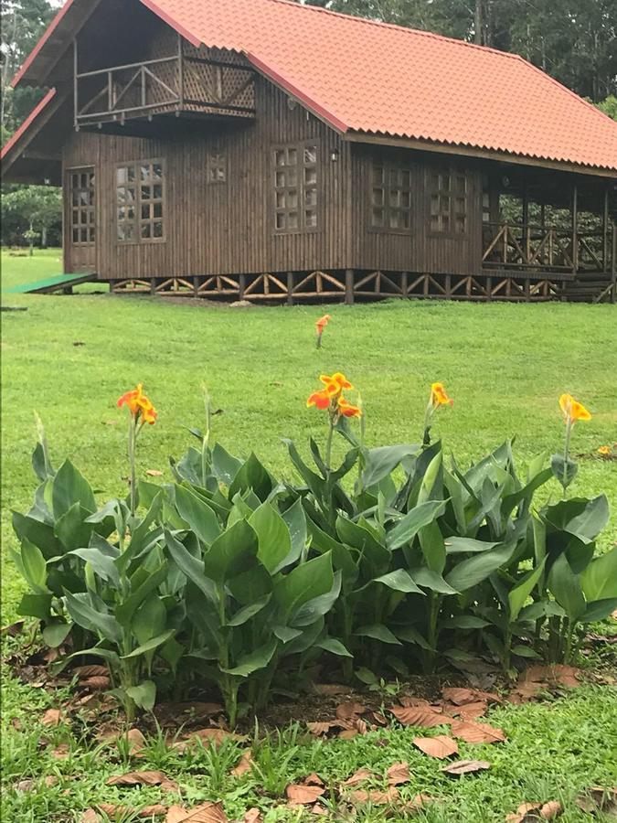 Cabana Rodeada De Naturaleza En San Carlos Quesada  외부 사진