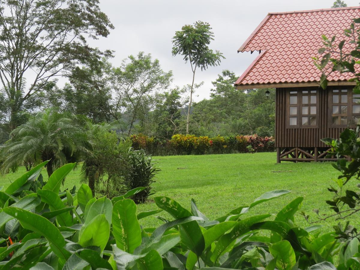 Cabana Rodeada De Naturaleza En San Carlos Quesada  외부 사진