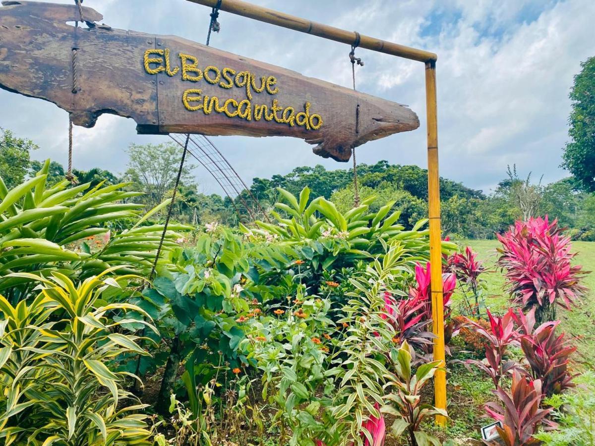 Cabana Rodeada De Naturaleza En San Carlos Quesada  외부 사진